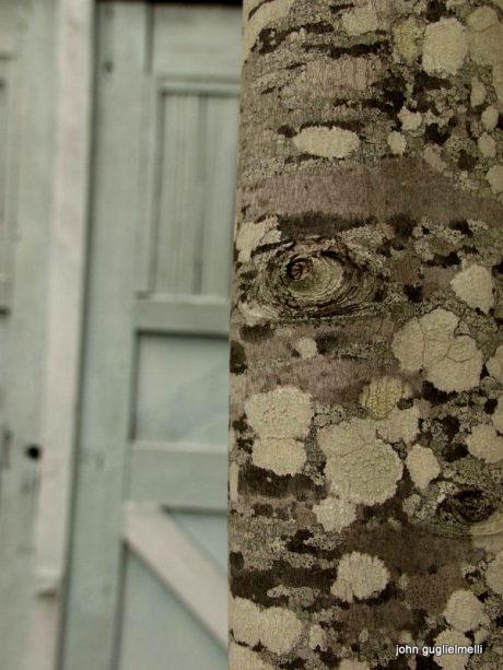 Bloom Where You Are Planted