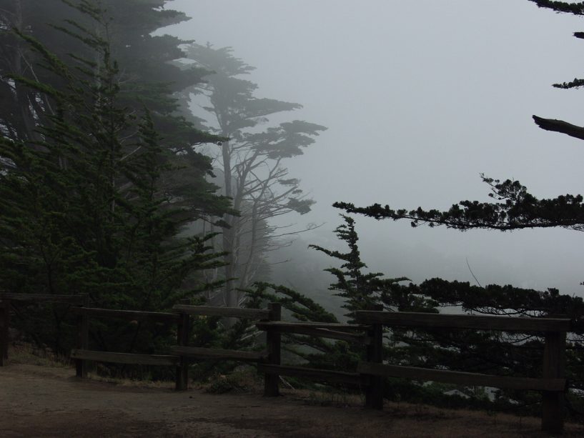 john guglielmelli san francisco gardener gardeners