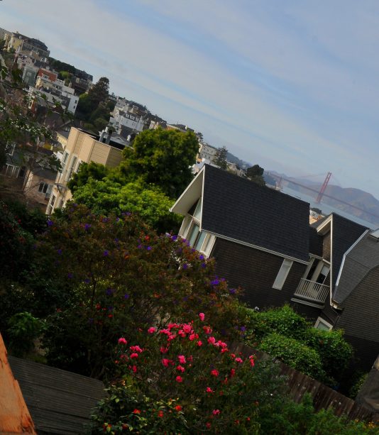 San Francisco Gardener John Guglielmelli